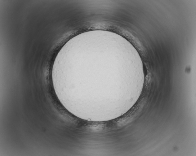 X0000116580306201001211310