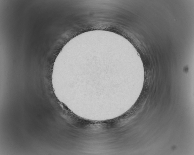 X0000116580307201001211310