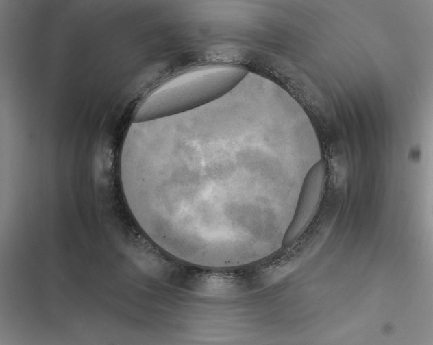 X0000116580308201001211310