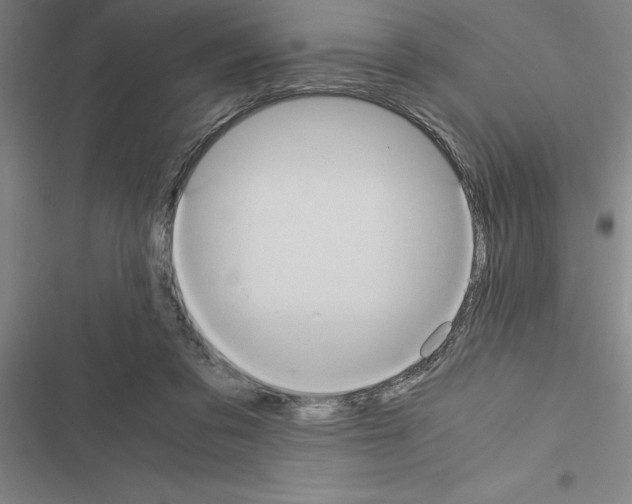 X0000116580309201001211310