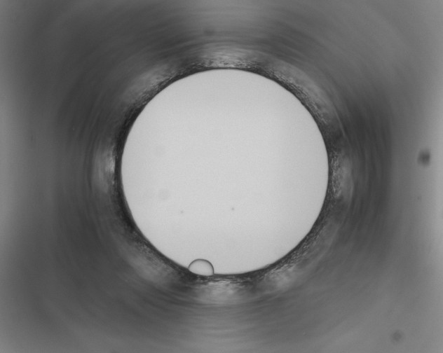 X0000116580310201001211310