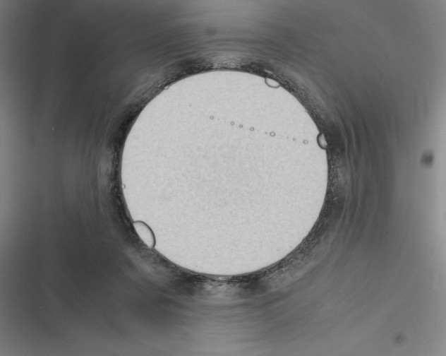 X0000116580311201001211310