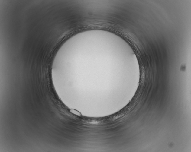 X0000116580312201001211310