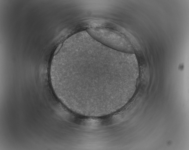 X0000116580313201001211310