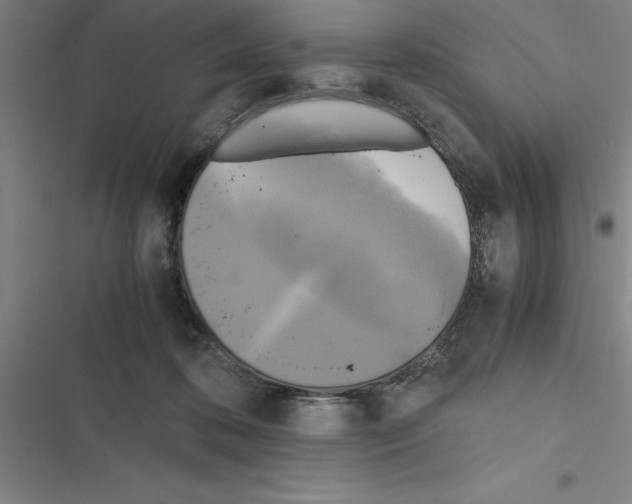 X0000116580316201001211310