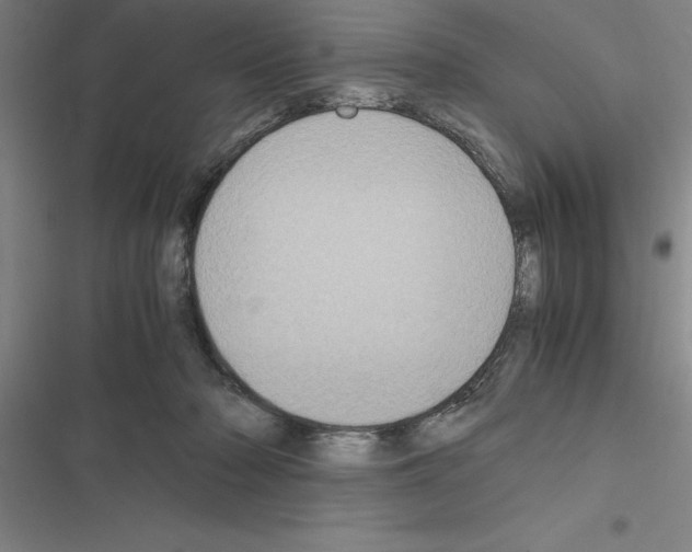 X0000116580318201001211310