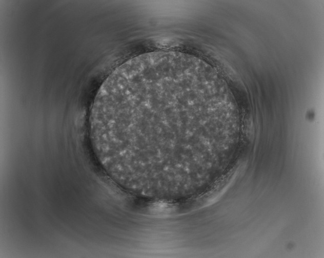 X0000116580319201001211310