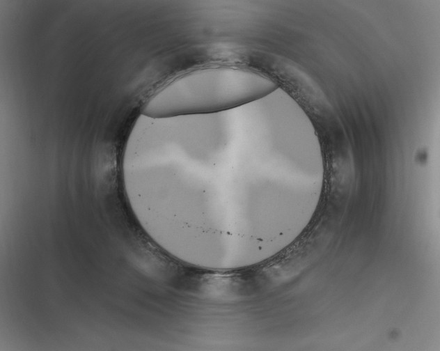 X0000116580320201001211310