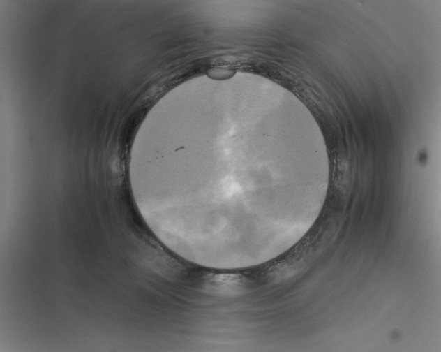 X0000116580324201001211310