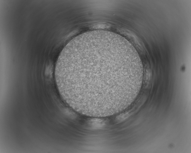 X0000116580326201001211310
