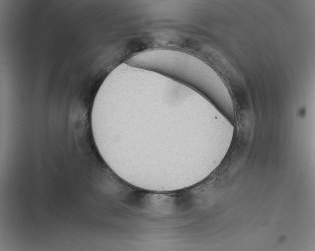 X0000116580327201001211310