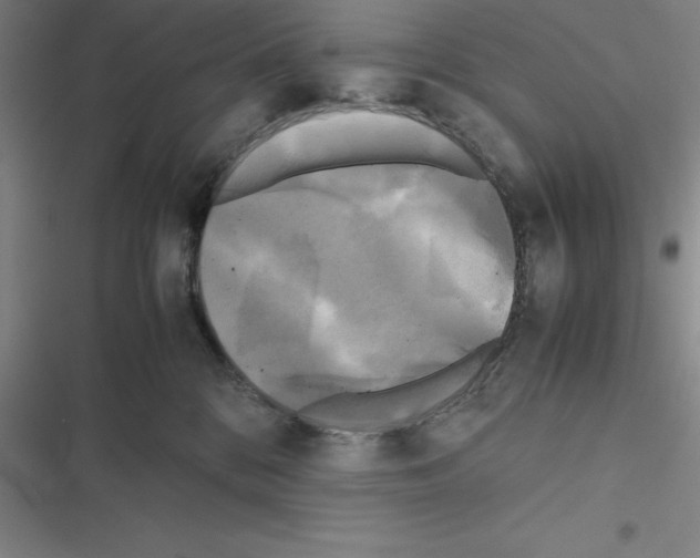 X0000116580328201001211310