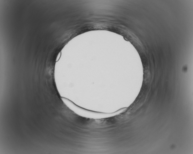 X0000116580329201001211310