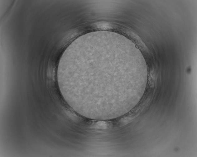 X0000116580330201001211310