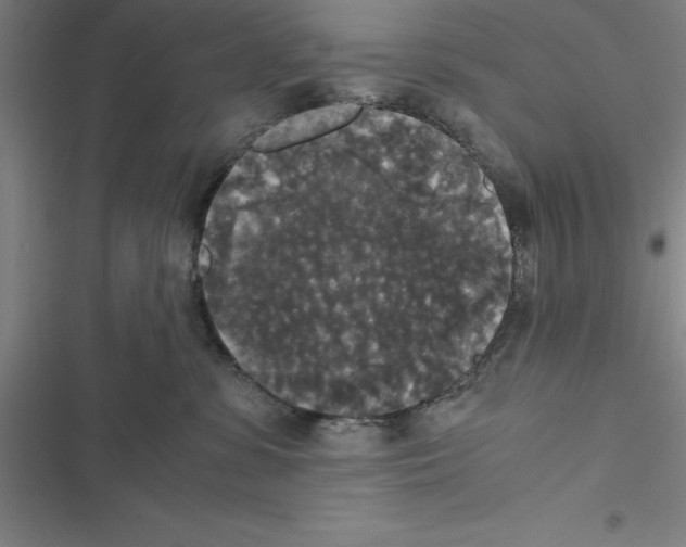 X0000116580331201001211310
