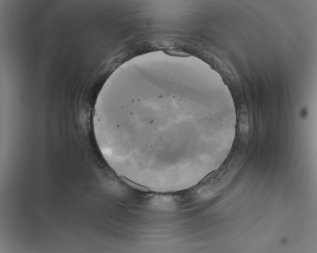 X0000116580332201001211310