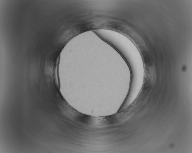 X0000116580333201001211310
