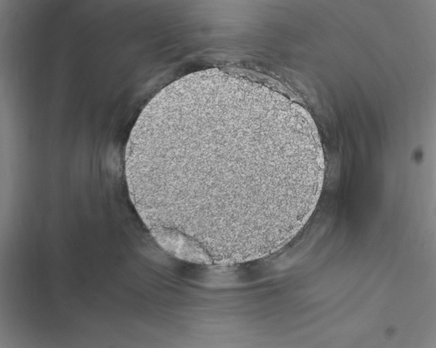 X0000116580335201001211310