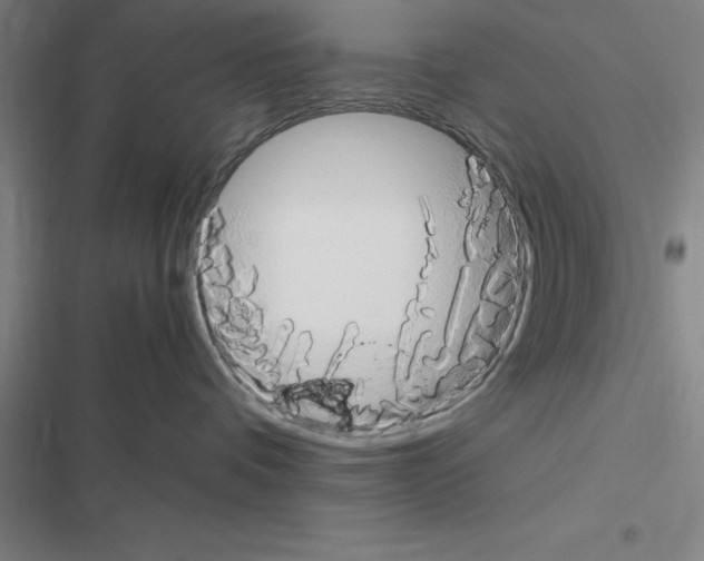 X0000116580336201001211310