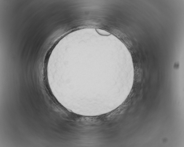 X0000116580338201001211309