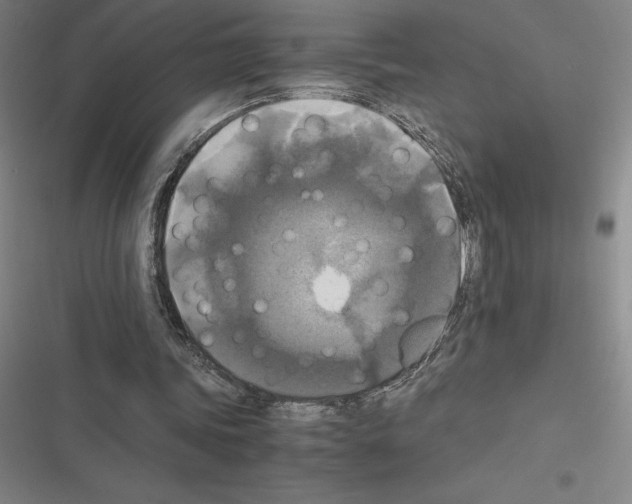 X0000116580339201001211309