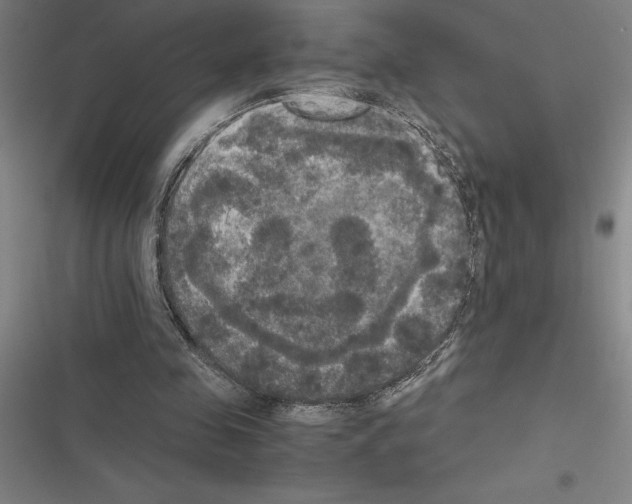 X0000116580341201001211309