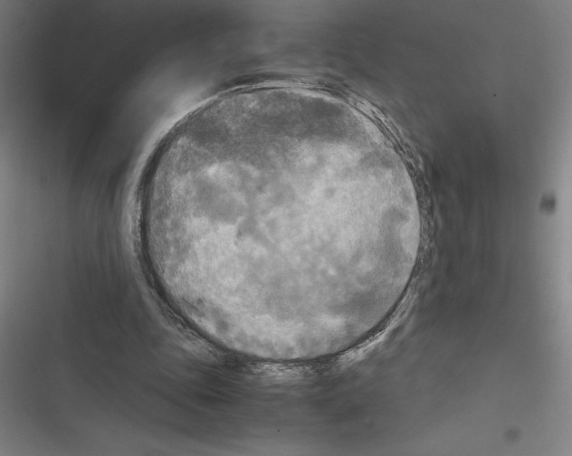 X0000116580343201001211309
