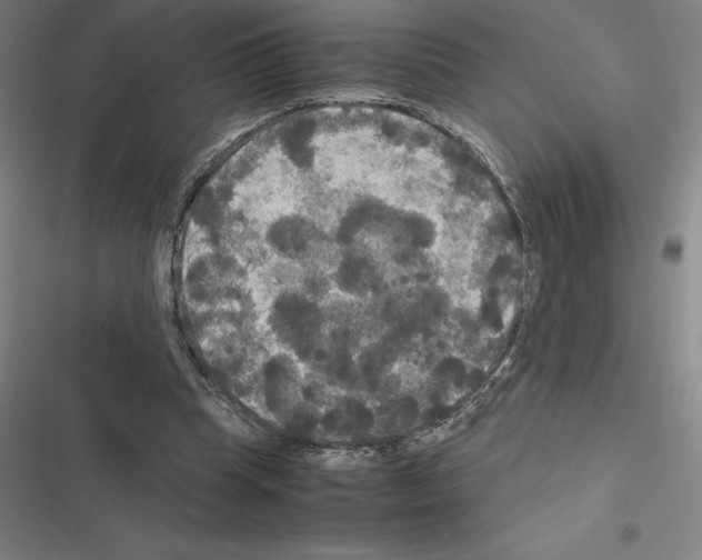 X0000116580345201001211309