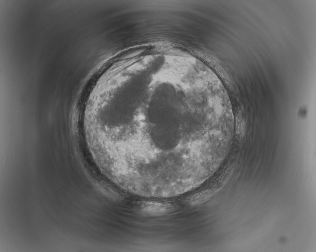 X0000116580347201001211309