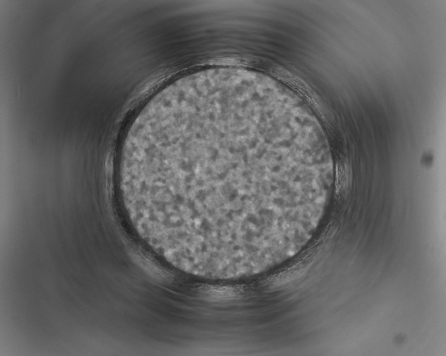 X0000116580349201001211309