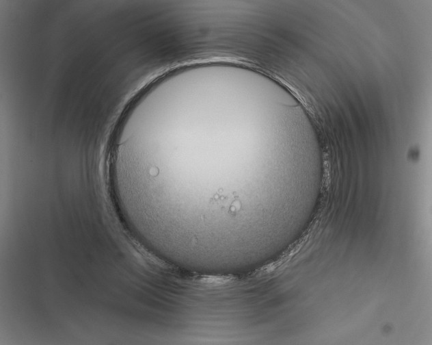 X0000116580350201001211309