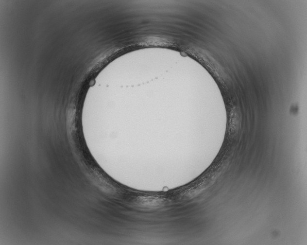 X0000116580351201001211309