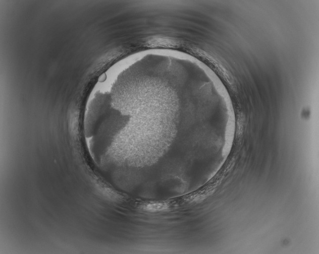 X0000116580353201001211309