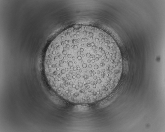 X0000116580354201001211309