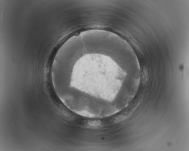 X0000116580355201001211309