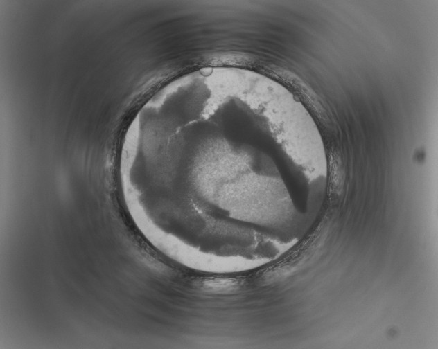 X0000116580357201001211309