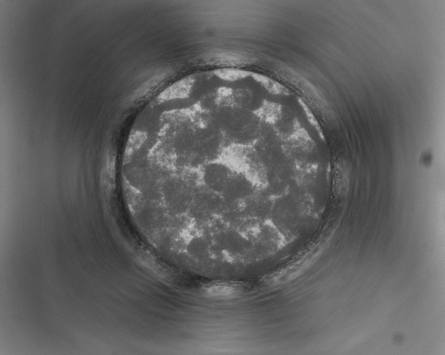 X0000116580358201001211309