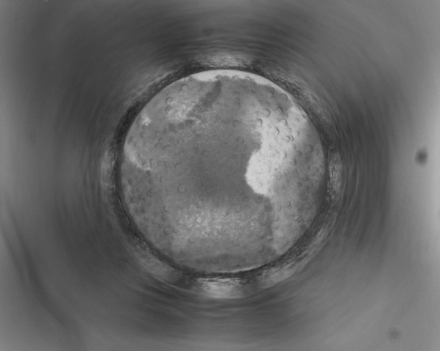 X0000116580359201001211309