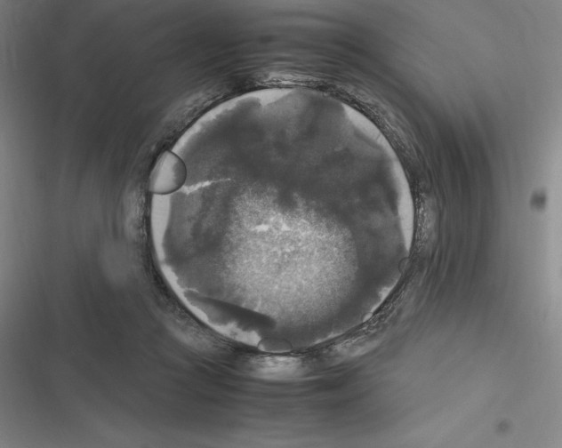 X0000116580361201001211309