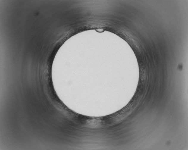 X0000116580362201001211309