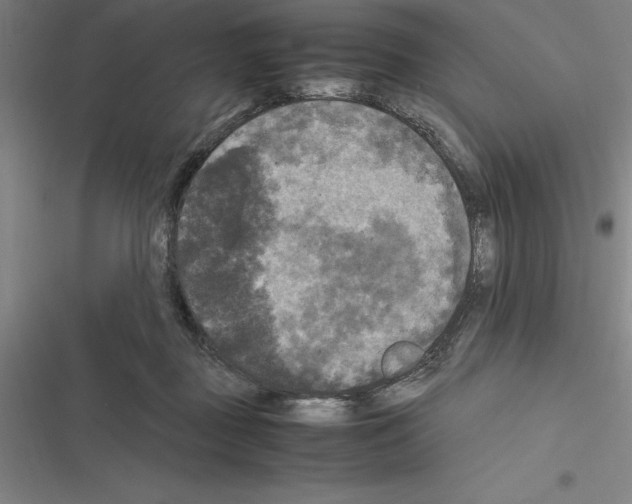 X0000116580363201001211309