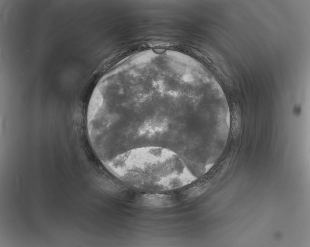 X0000116580367201001211309