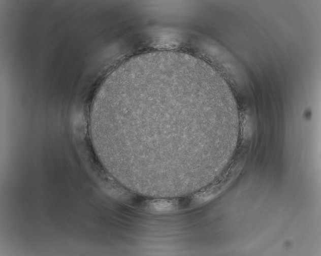 X0000116580370201001211309