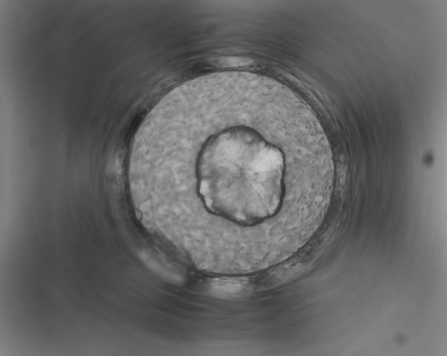 X0000116580373201001211309