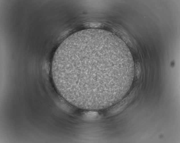 X0000116580374201001211309