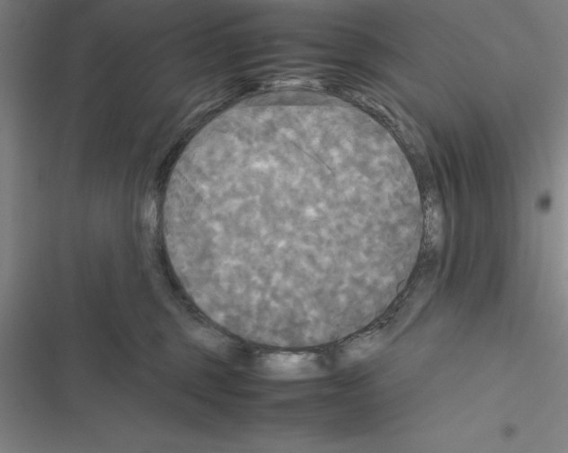 X0000116580375201001211309