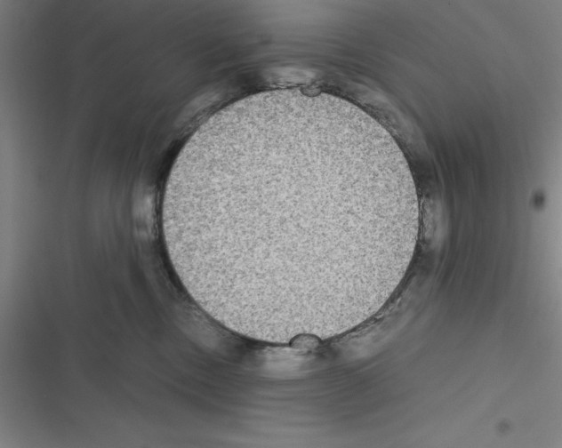 X0000116580378201001211309