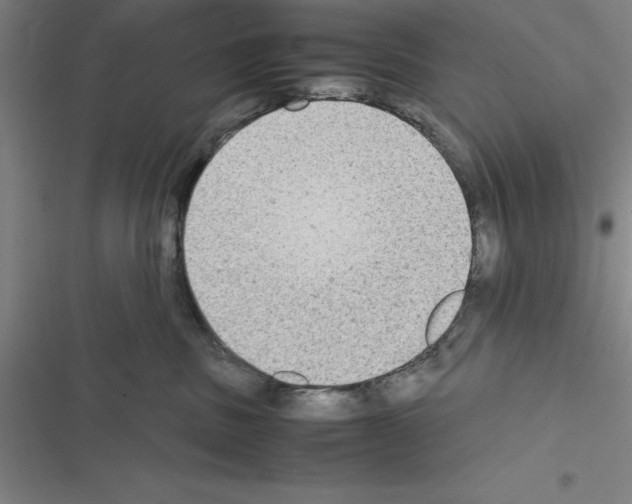 X0000116580379201001211310