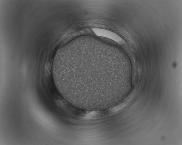 X0000116580382201001211310