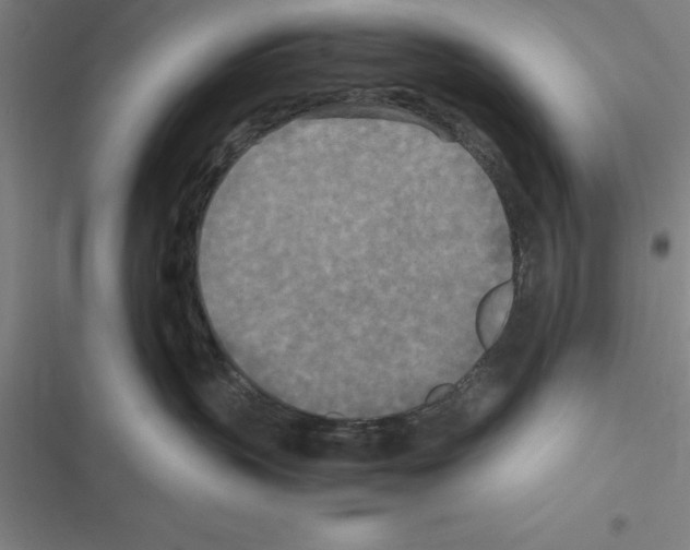 X0000116580383201001211310